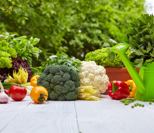 Vegetable Gardening for Beginners