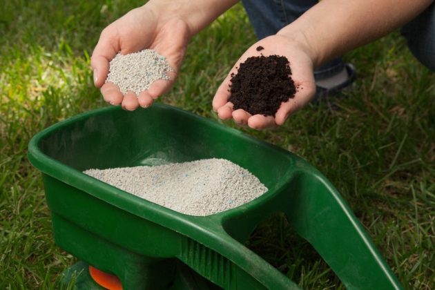 When to Fertilize New Grass: Best Fertilization Schedule for a New Lawn